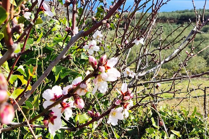 Private Hiking Tour in Gramvousa Peninsoula From Kissamos - Directions