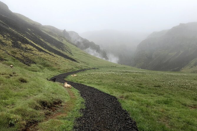 Private Hiking up the Mystical Reykjadalur - Hot River Bathing - Essential Packing List for Hikers