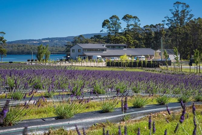 Private Hobart Discover South East Food and Scenic Tour - Tour Highlights