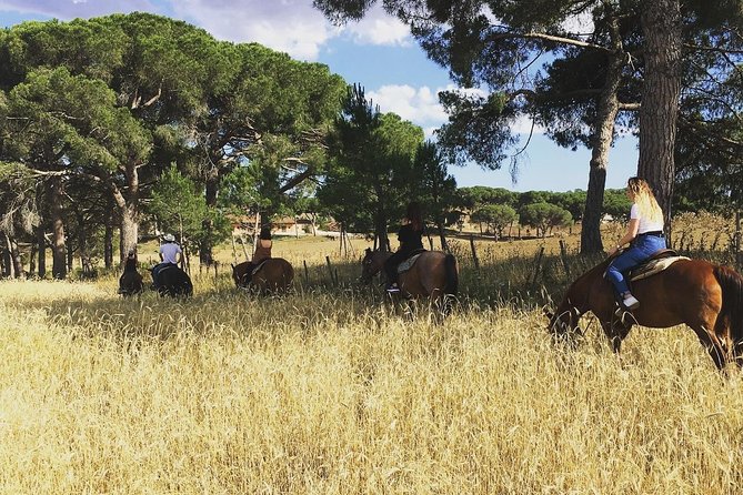 Private Horse Ride in the Veio Park in Rome - Additional Information