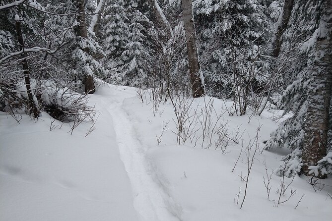 Private Horseshoe Valley Snowshoe/Crampons (Barrie/Moonstone) - Booking and Cancellation Policies