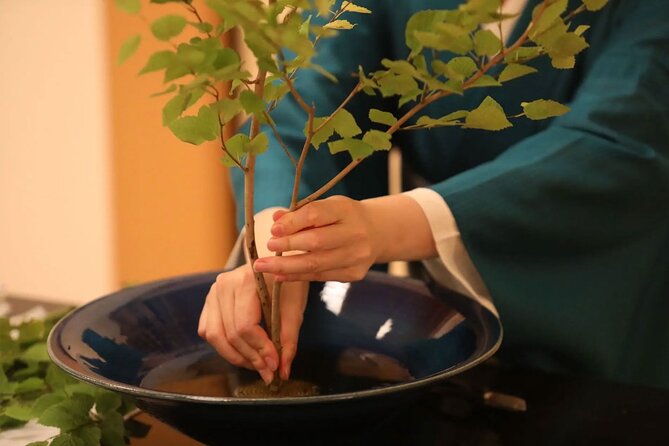 Private Japanese Traditional Flower Arrangement in Tokyo - Accessibility and Participation