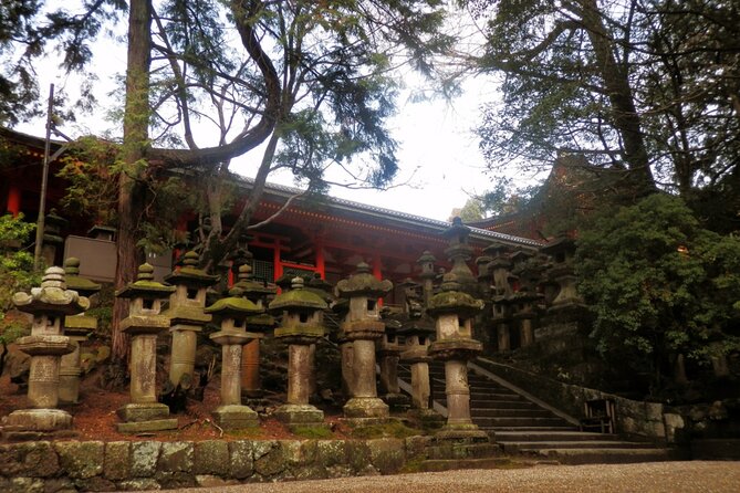 Private Journey in Nara's Historical Wonder - Expert Guidance and Insider Tips