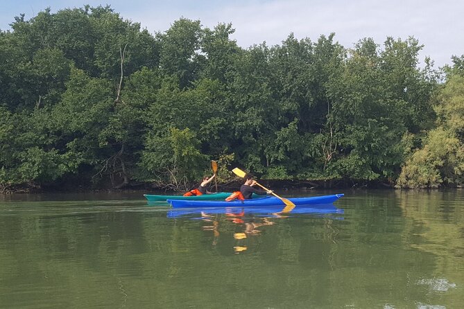 Private Kayak Tour in the Venetian Lagoon - Traveler Feedback