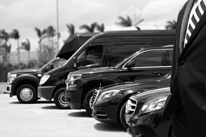 Private Luxurious Transfer in Paris - Cancellation Policy