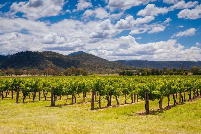 Private Luxury Hunter Valley Tour - up to 7 Guests - Luxury Transport and Accommodation