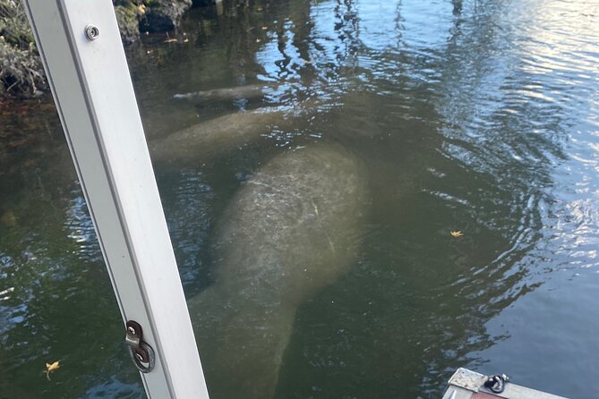 Private Manatee Boat Tour. - Meeting and Pickup Details