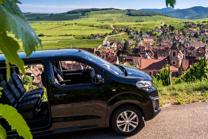 Private Minivan Transfer From Strasbourg Area to Frankfort Airport - Customer Support