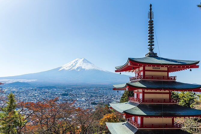 Private Mount Fuji and Hakone City Tour From Tokyo - Tour Guide Expertise