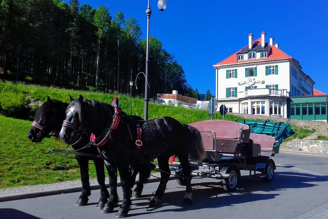 Private Neuschwanstein Castle Day Trip  - Garmisch-Partenkirchen - Expert Guided Tours