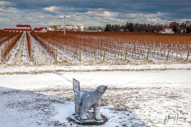 Private Niagara Ice Wine Tour - Pricing Information