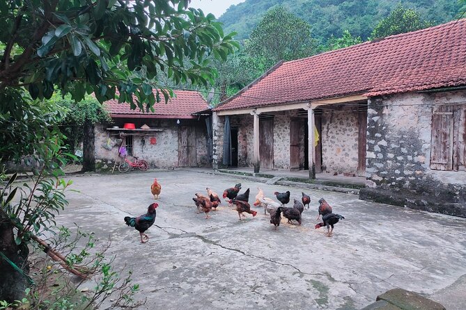 Private Ninh Binh Luxury Day Tour (Tam Coc, Mua Cave, Cycling) - Activity Options