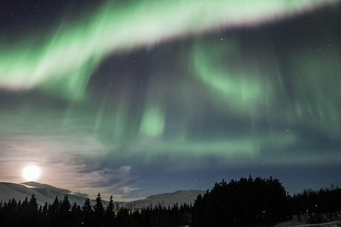 Private Northern Lights Jeep Tour With a Photographer - Support & Contact Assistance