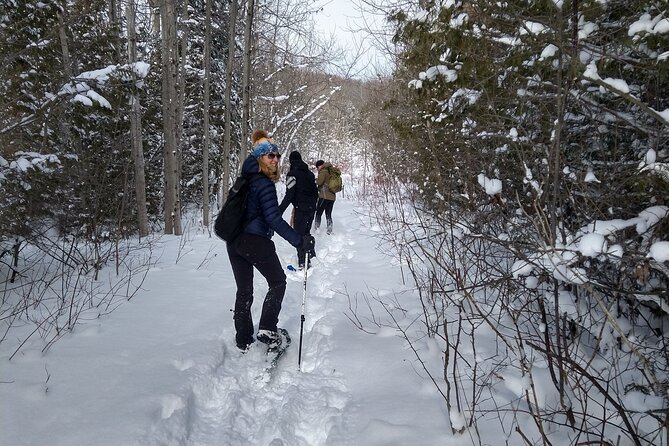 Private Nottawasaga Bluffs Caves Snowshoe/Crampons, Creemore Area - Activity Expectations