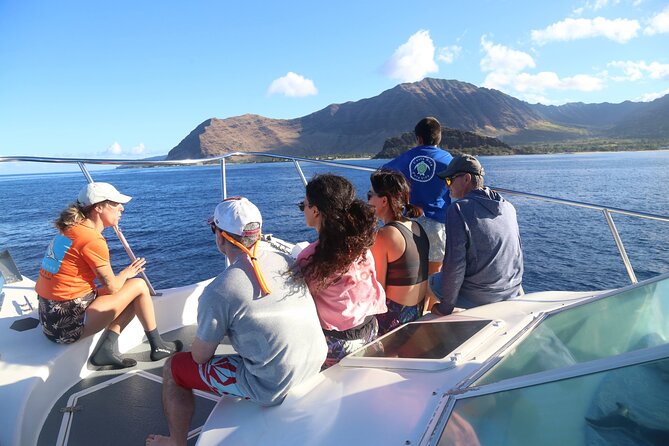 Private Oahu 3hr Guided Swim With Whale, Dolphin, Turtle Trek - Directions and Location Instructions
