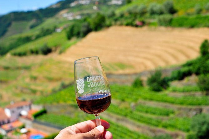 Private off the Beaten Douro Valley Wine Tour - Viator Experience