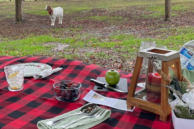 Private Picnic With Goats in Lexington - Customer Feedback