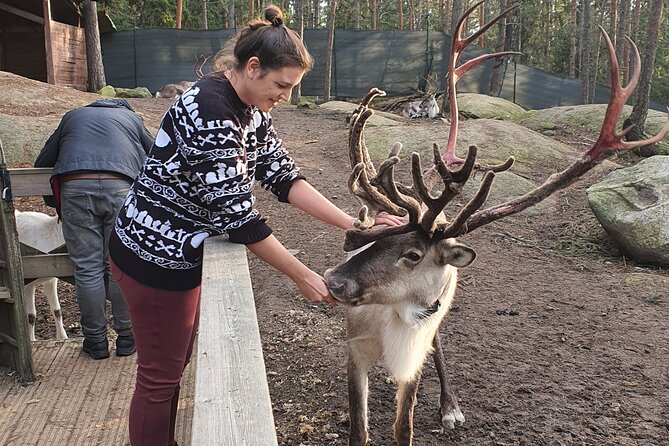 PRIVATE Reindeer Park Adventure by VIP Car - Check Out Traveler Photos of the Adventure