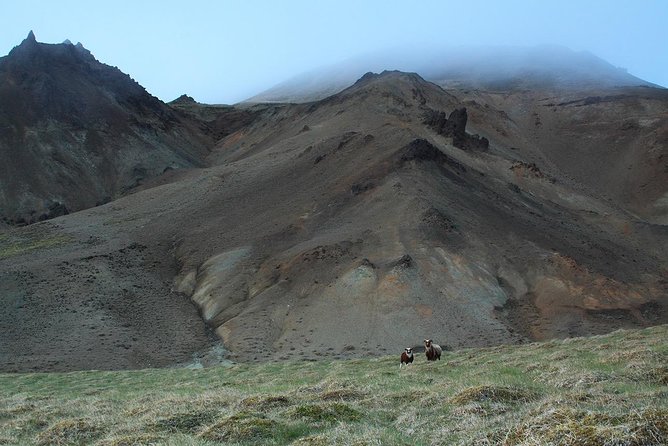 Private Reykjanes Peninsula Day Trip by Super Jeep From Reykjavik - Super Jeep Experience