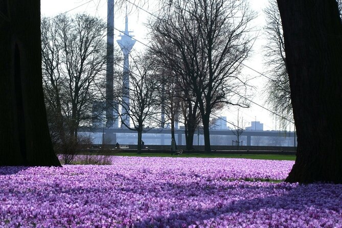 Private Running Tour in Düsseldorf - Additional Features