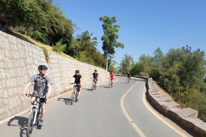 Private San Cristobal Hill & Metropolitan Park Santiago Bike Tour - Photography and Reviews