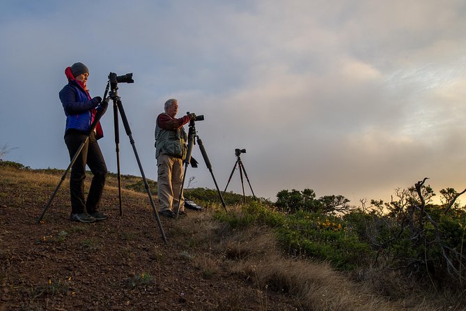 Private San Francisco Sunset Photography Experience - Scenic Locations Emphasized