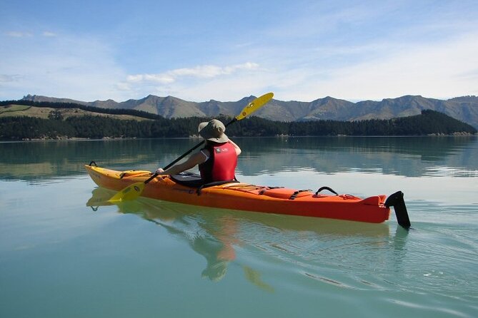 Private Sea Kayaking Tour From Christchurch/Lyttleton - Meeting and Pickup Details