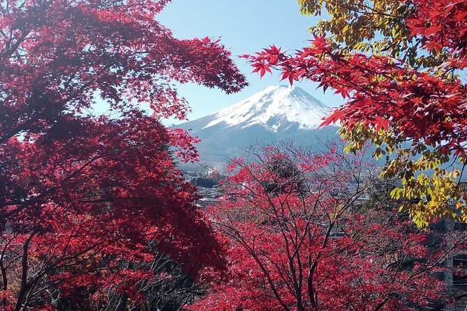 Private Sedan One-Day Mount Fuji Tour - Similar Tours Available
