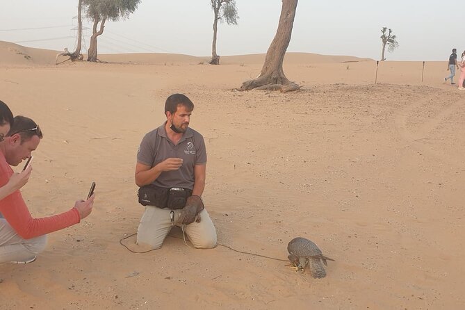 Private Setup, Falcon Photo , Dinner, Sunset in Middle of Desert - Chasing the Setting Sun