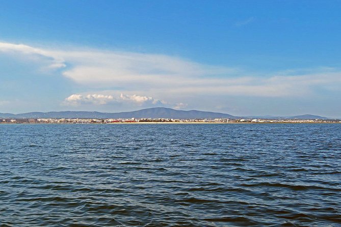 Private Sightseeing Boat Tour in Ria Formosa at Olhão - Activities Included