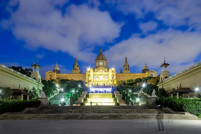 Private Sightseeing in Barcelona By Night - Customer Reviews