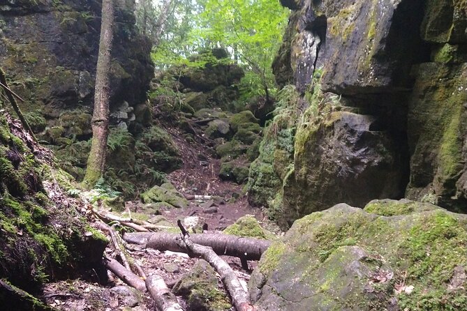 Private Singhampton Caves Hike, Collingwood/Blue Mtn/Creemore - Logistics