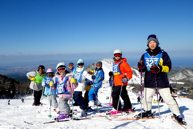 Private Ski Lesson for Family or Group(Transport Included ) - Experience Details