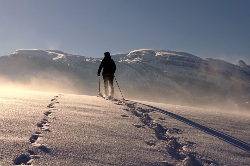 Private Snowshoeing Full Day - Snowshoeing Benefits