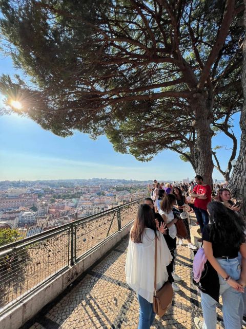 Private Tour All Lisbon Highlights 3h - Live Tour Guide