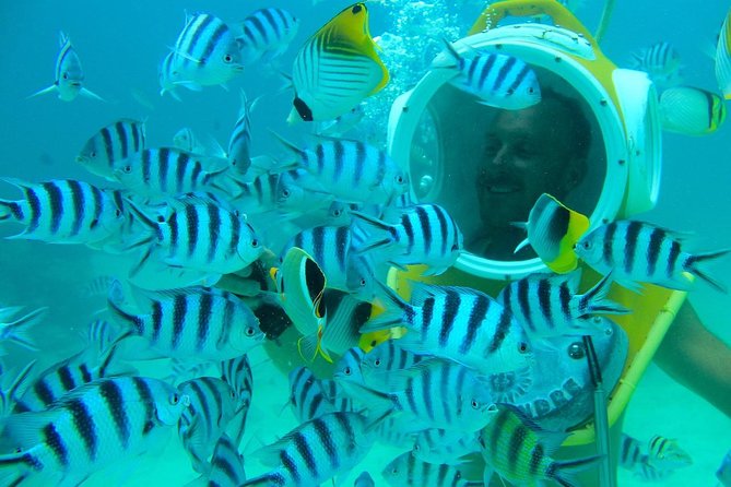 Private Tour: Aqua Safari Scuba Diving - Reviews & Ratings