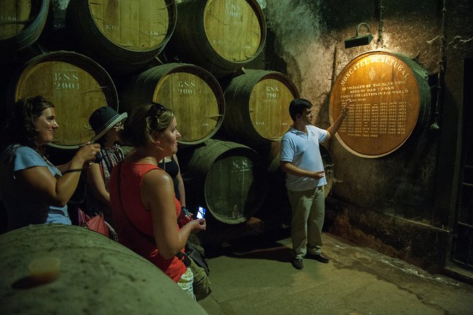 Private Tour: Arrábida Day Trip From Lisbon Including Wine Tasting - Reviews