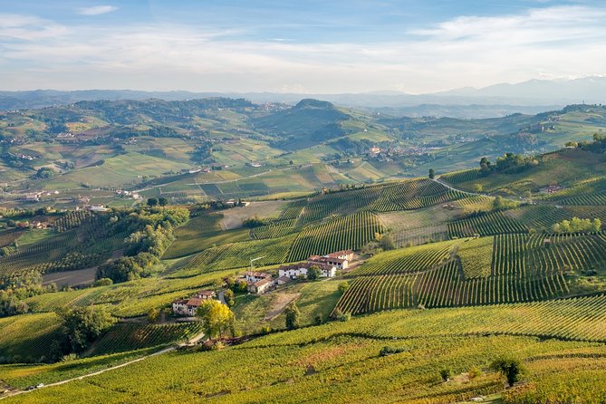 Private Tour: Barolo Wine Tasting in Langhe Area From Torino - Tour Experience