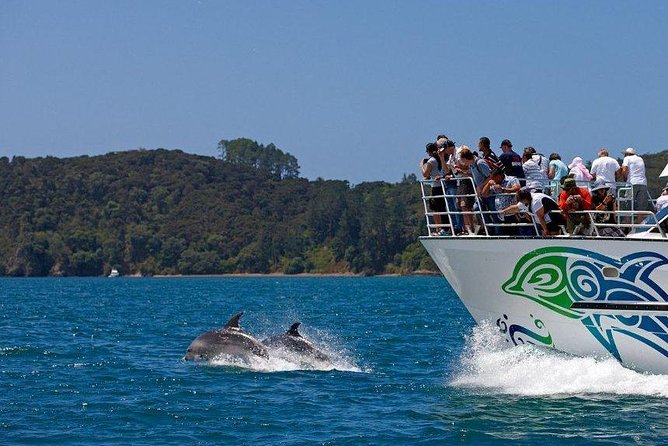 Private Tour: Bay of Islands Day Trip From Auckland - Traveler Reviews and Ratings