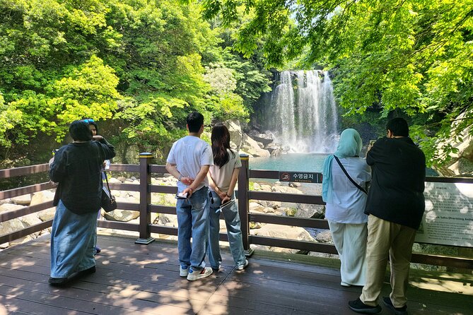 Private Tour Cheonjeyeon Falls & Osulloc Museum in Jeju Island - Customer Reviews