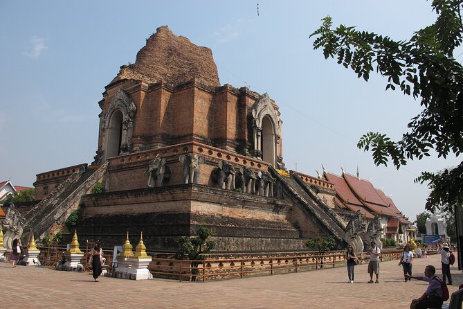 Private Tour: Chiang Mai City Tour Full Day - Reviews Summary