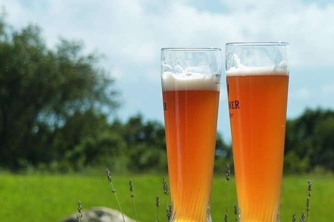Private Tour: Craft Breweries and Beer Tastings in Niagara Region - Brewery Visits