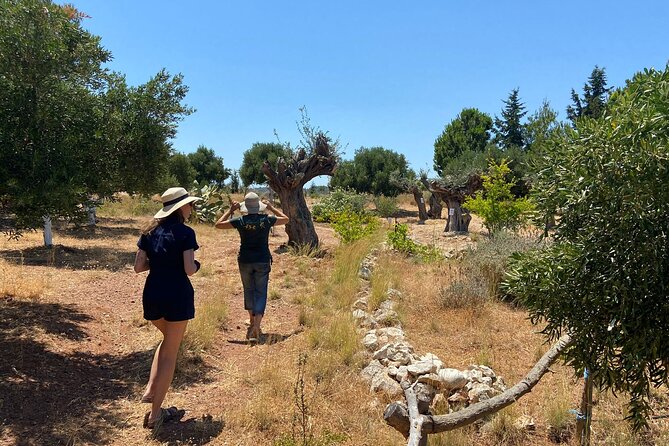 Private Tour: Discover the Secret World of Olives in Afantou - Pricing Details