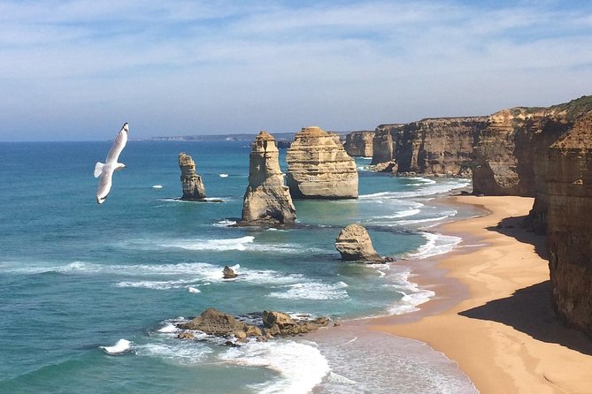 [PRIVATE TOUR] Express Great Ocean Road Day Trip - Customer Support Details