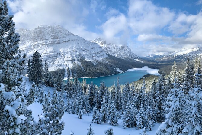 Private Tour for up to 24 Guests of Lake Louise and the Icefield Parkway - Customer Reviews