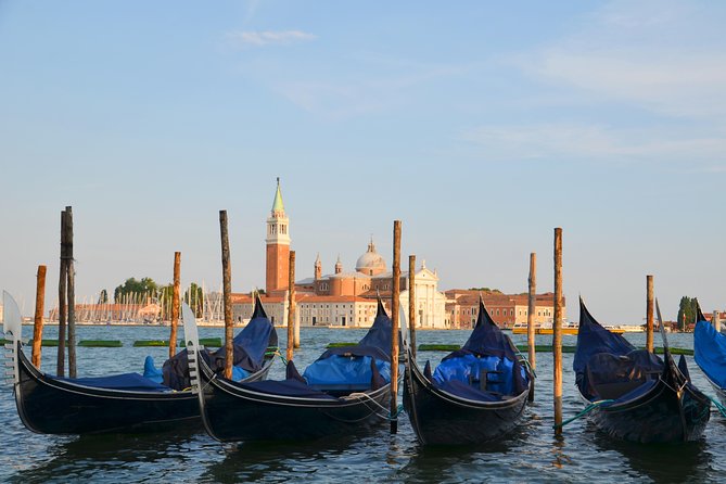 Private Tour From Munich to Venice - Contact and Terms