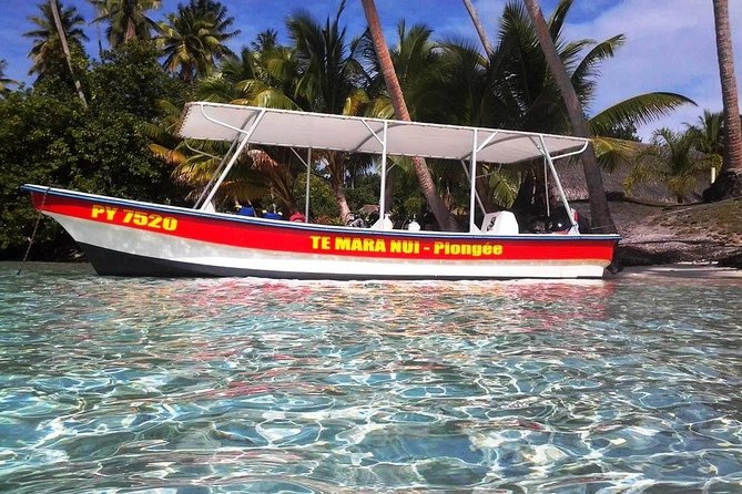Private Tour From Raiatea - 1/2 Day Excursion to Tahaa or Other - Meeting and Pickup Details