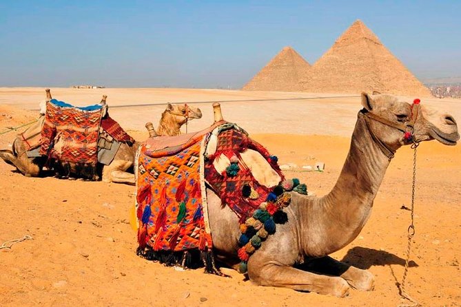 Private Tour Giza Pyramids Inside, Sphinx, Memphis & Saqqara - Reviews and Ratings by Visitors