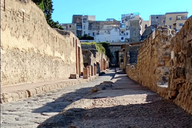 Private Tour in Herculaneum With an Authorized Guide - Private Tour Details