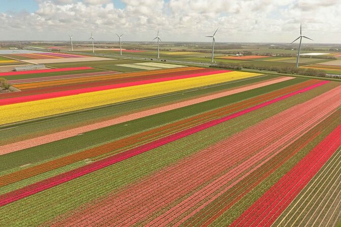 Private Tour Keukenhof Tulip Fields of Holland - Cancellation Policy